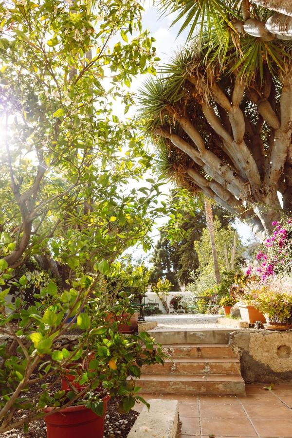 Ecoverode Hotel Emblematico Vegetariano Vegano Arona  Εξωτερικό φωτογραφία
