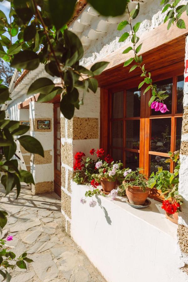 Ecoverode Hotel Emblematico Vegetariano Vegano Arona  Εξωτερικό φωτογραφία
